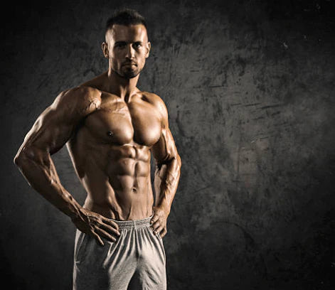 Magnum Quattro - 4-Stage Protein Isolate (Original)